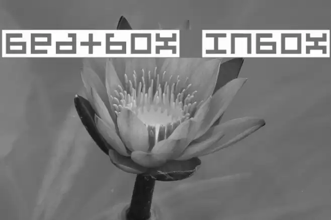 Beatbox InBox Font examples