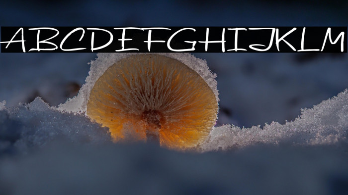 Beatday Fonte examples