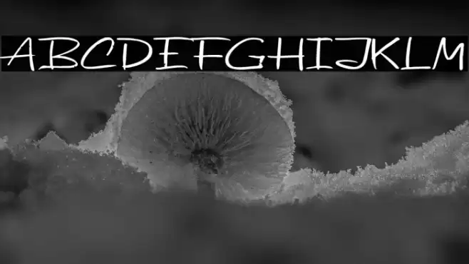 Beatday Font examples