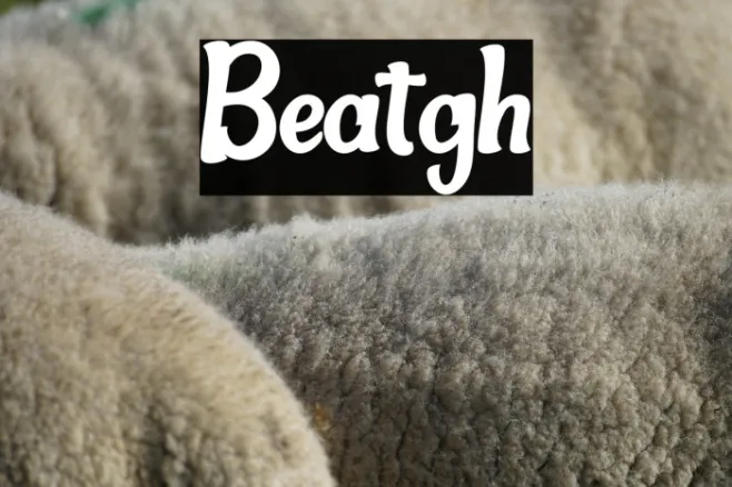 Beatgh Example 2