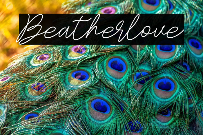 Beatherlove Example 2