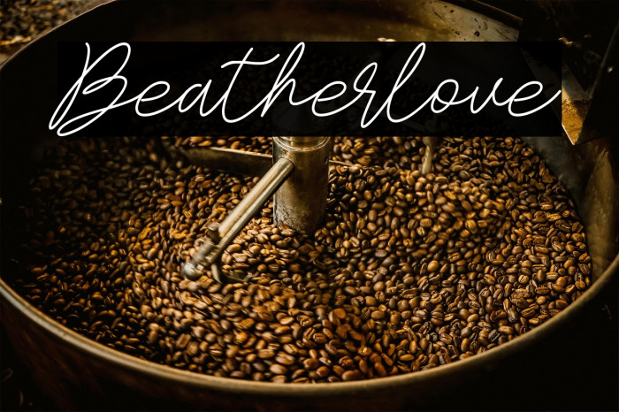 Beatherlove Example 3