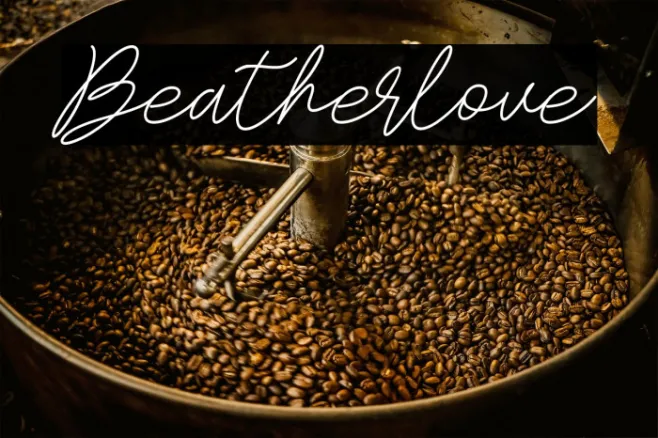 Beatherlove Example 3