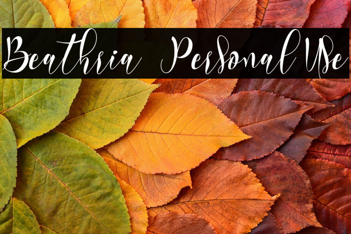 Beathria - Personal Use Example 2