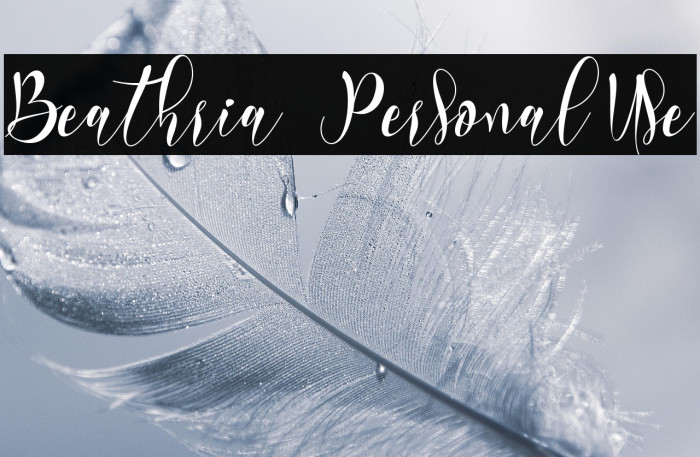 Beathria - Personal Use Example 3