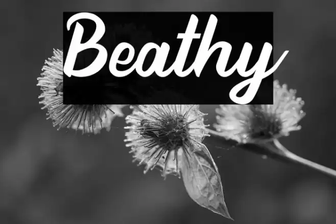 Beathy Font examples