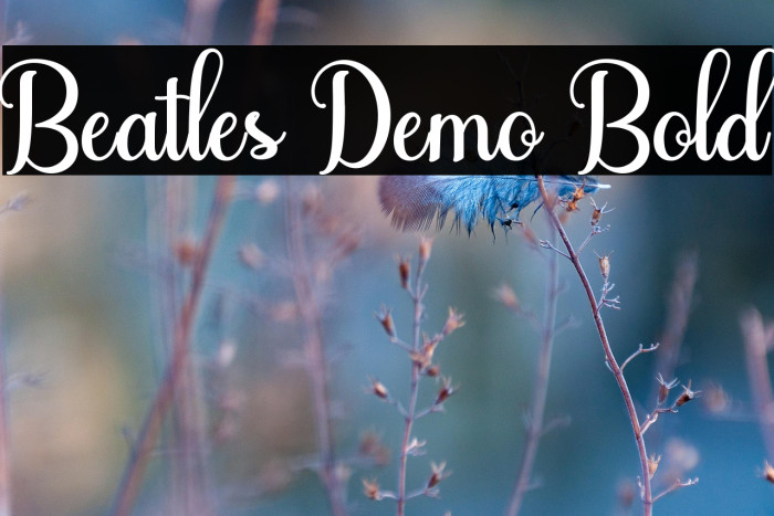 Beatles Demo Bold Example 1