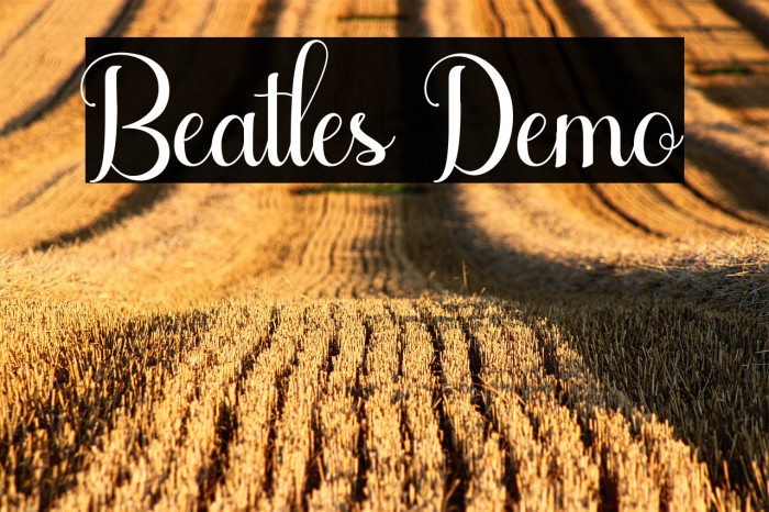 Beatles Demo Example 1
