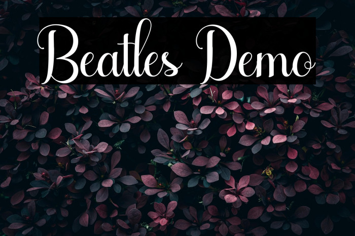 Beatles Demo Example 2