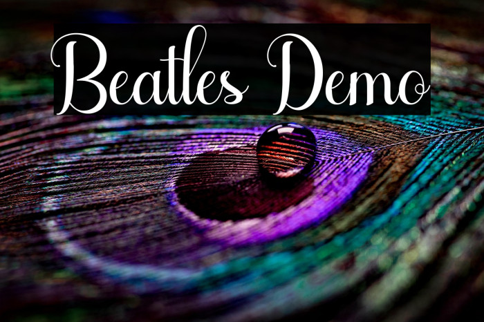 Beatles Demo Example 3