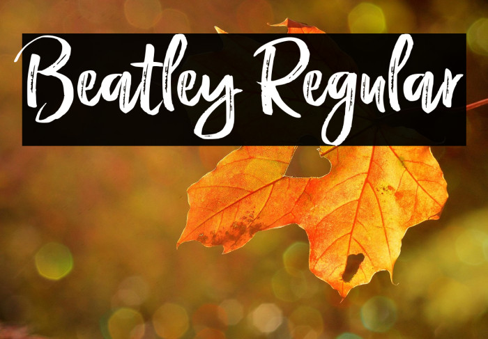 Beatley Regular Example 2