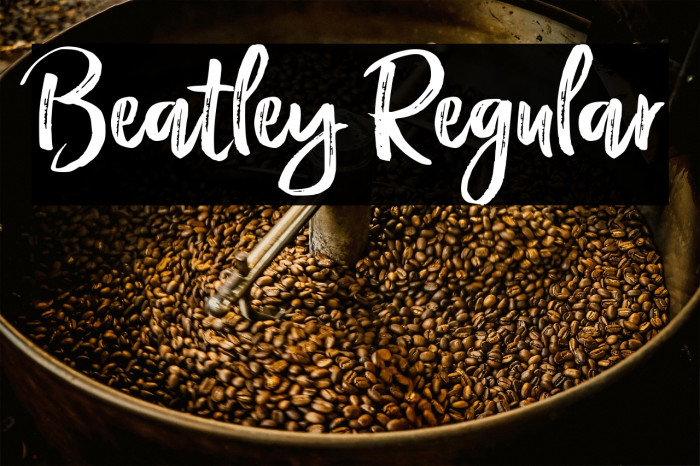 Beatley Regular Example 3