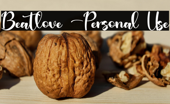 Beatlove -Personal Use Example 1