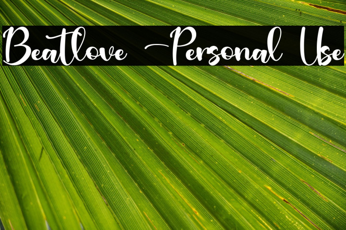 Beatlove -Personal Use Example 2