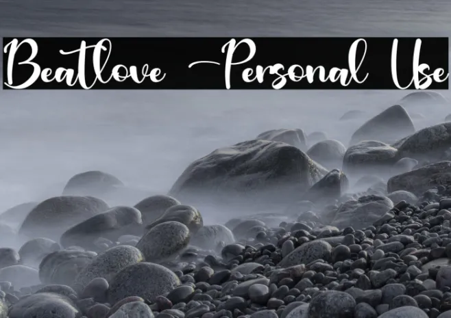 Beatlove -Personal Use Example 3