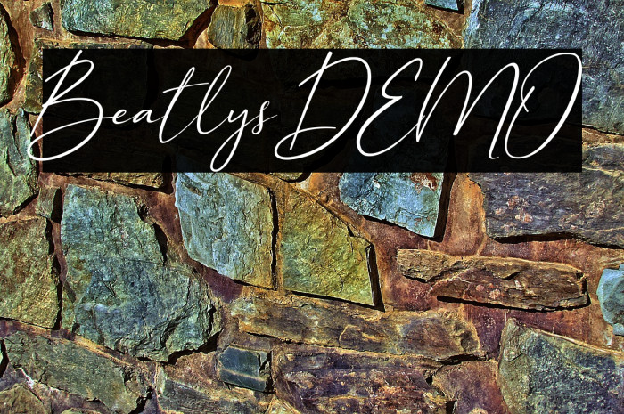 Beatlys DEMO Example 1