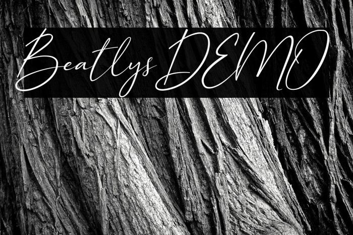 Beatlys DEMO Example 2