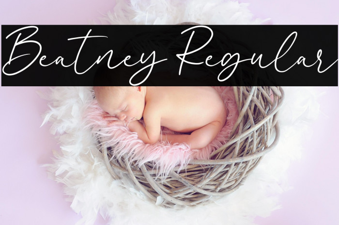 Beatney Regular Example 1