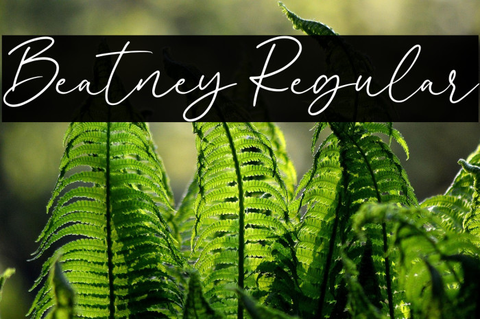 Beatney Regular Example 3