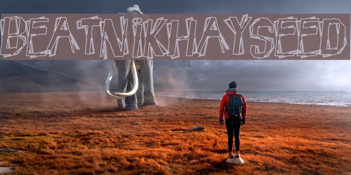 BeatnikHayseed Font examples