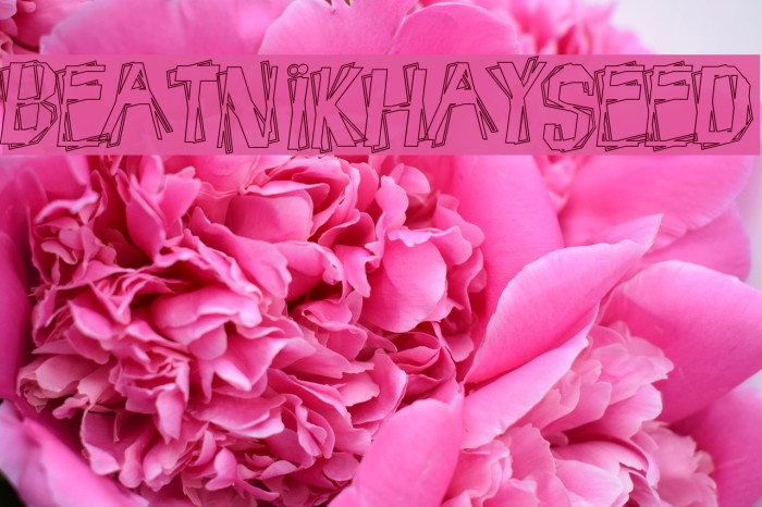 BeatnikHayseed Font examples