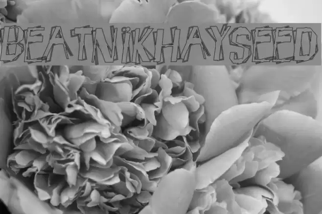BeatnikHayseed フォント examples