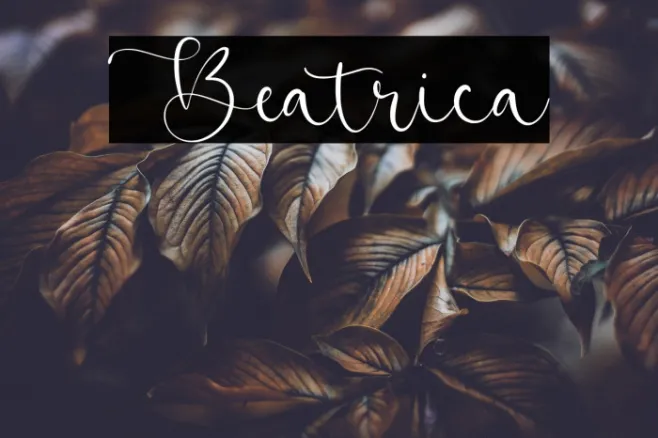Beatrica Example 1