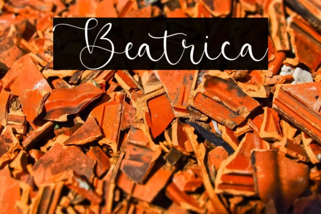 Beatrica Example 3