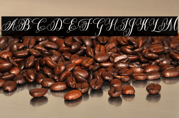 BeatriceScript-Regular Example 1