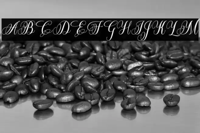 BeatriceScript-Regular Font examples