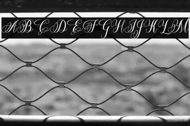 BeatriceScript-Regular Font examples