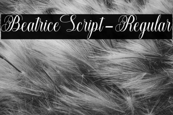 BeatriceScript-Regular Font examples