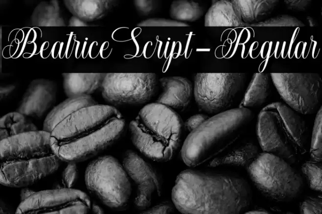 BeatriceScript-Regular Font examples