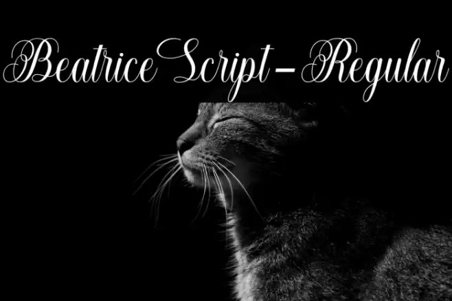 BeatriceScript-Regular Font examples