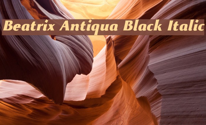 Beatrix Antiqua Black Italic Font examples