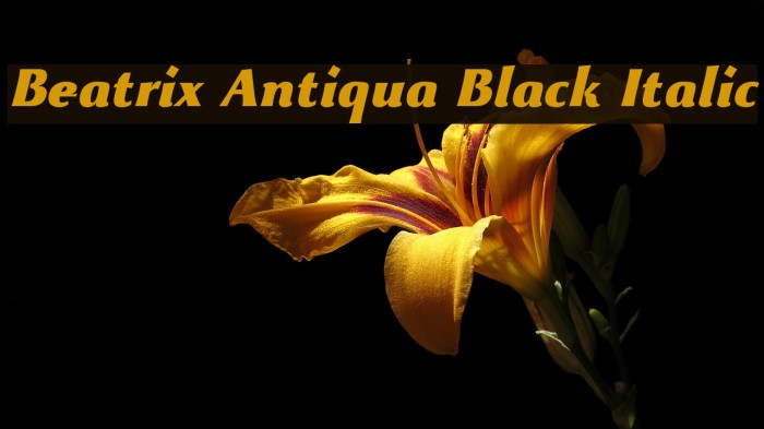 Beatrix Antiqua Black Italic Font examples