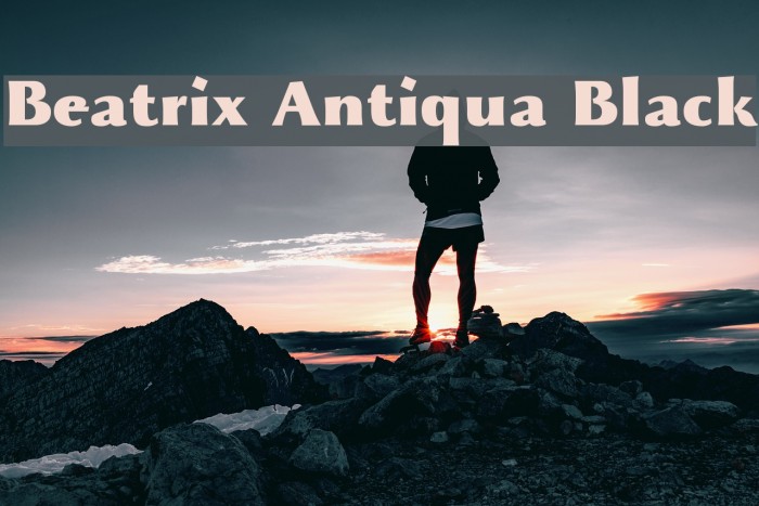 Beatrix Antiqua Black Example 2