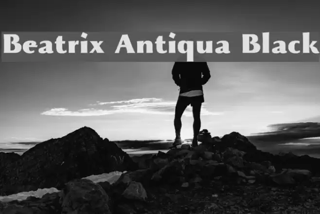 Beatrix Antiqua Black Font examples