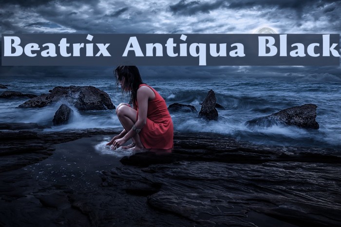 Beatrix Antiqua Black Example 3
