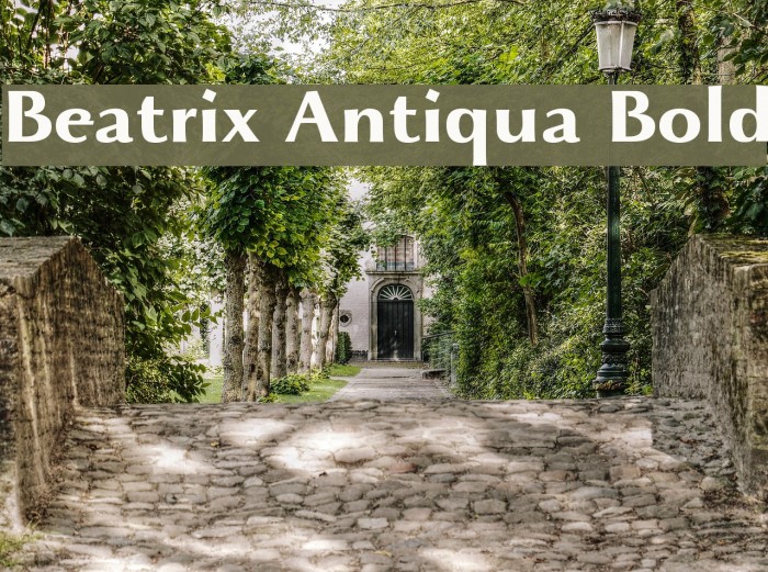 Beatrix Antiqua Bold Font examples