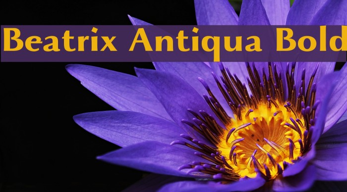 Beatrix Antiqua Bold Font examples