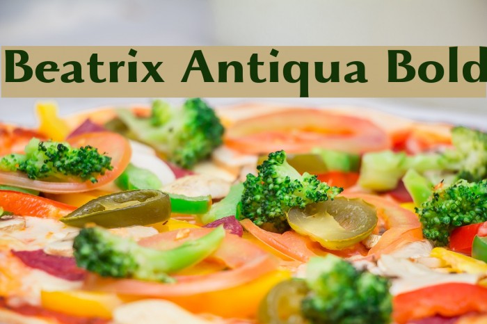 Beatrix Antiqua Bold Font examples