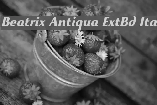 Beatrix Antiqua ExtBd Ita Font examples
