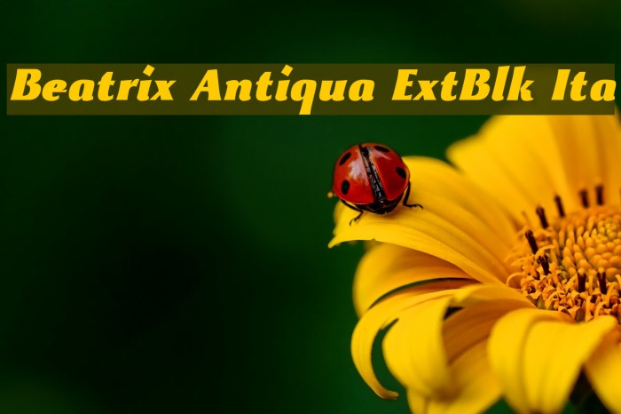 Beatrix Antiqua ExtBlk Ita Font examples