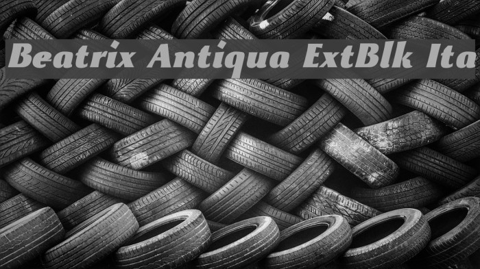 Beatrix Antiqua ExtBlk Ita Font examples