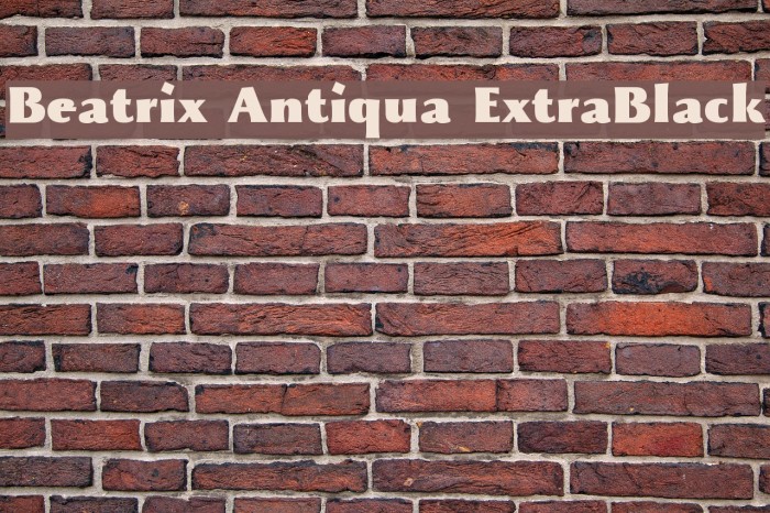 Beatrix Antiqua ExtraBlack Example 1