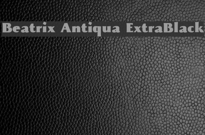 Beatrix Antiqua ExtraBlack Example 2