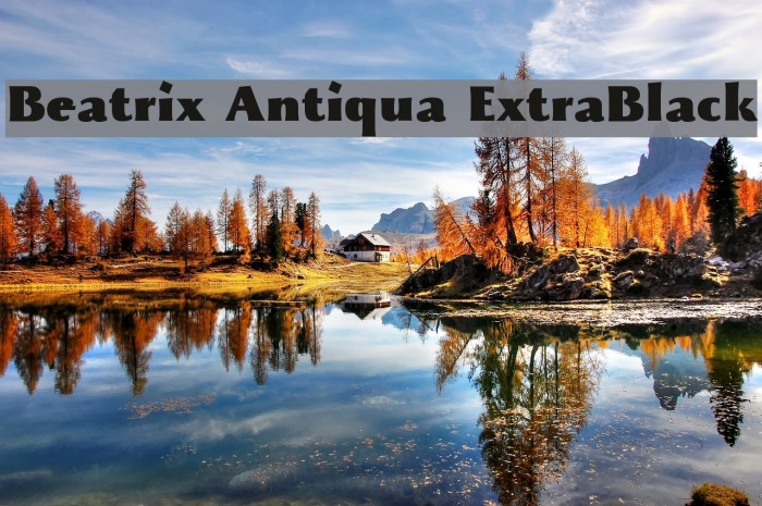Beatrix Antiqua ExtraBlack Example 3