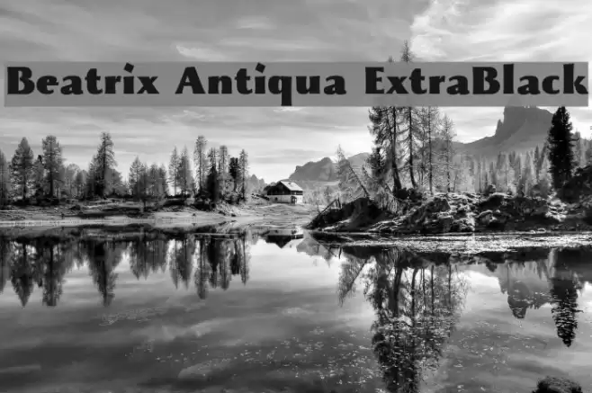 Beatrix Antiqua ExtraBlack Font examples