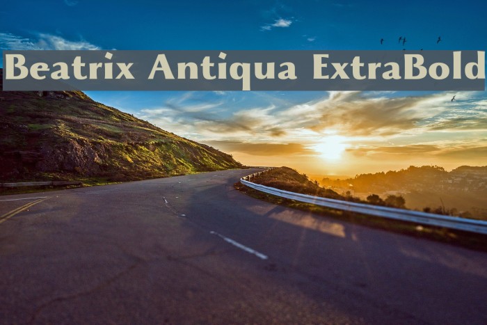 Beatrix Antiqua ExtraBold Font examples